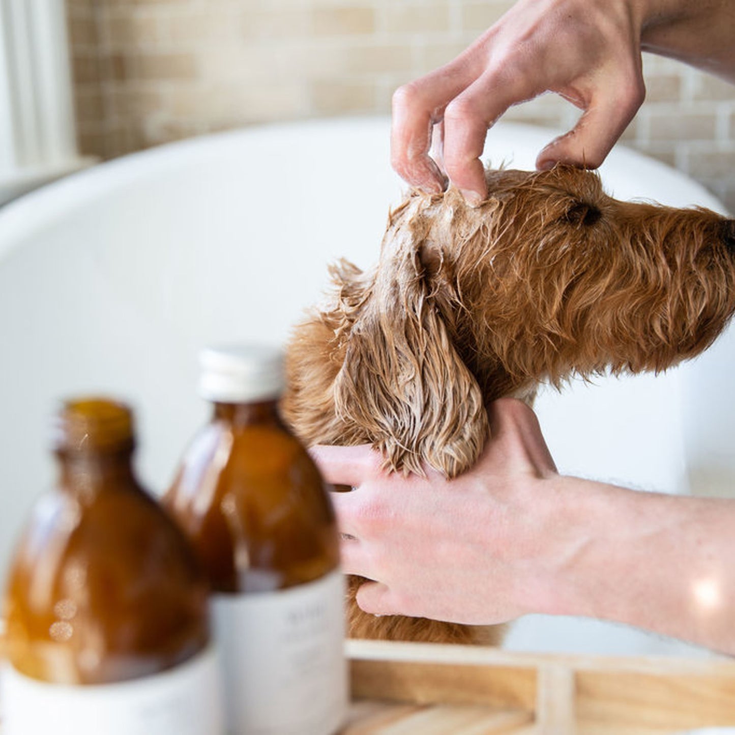 Wild for Dogs • The Organic Grooming Duo 2 x 150ml (plastic-free)