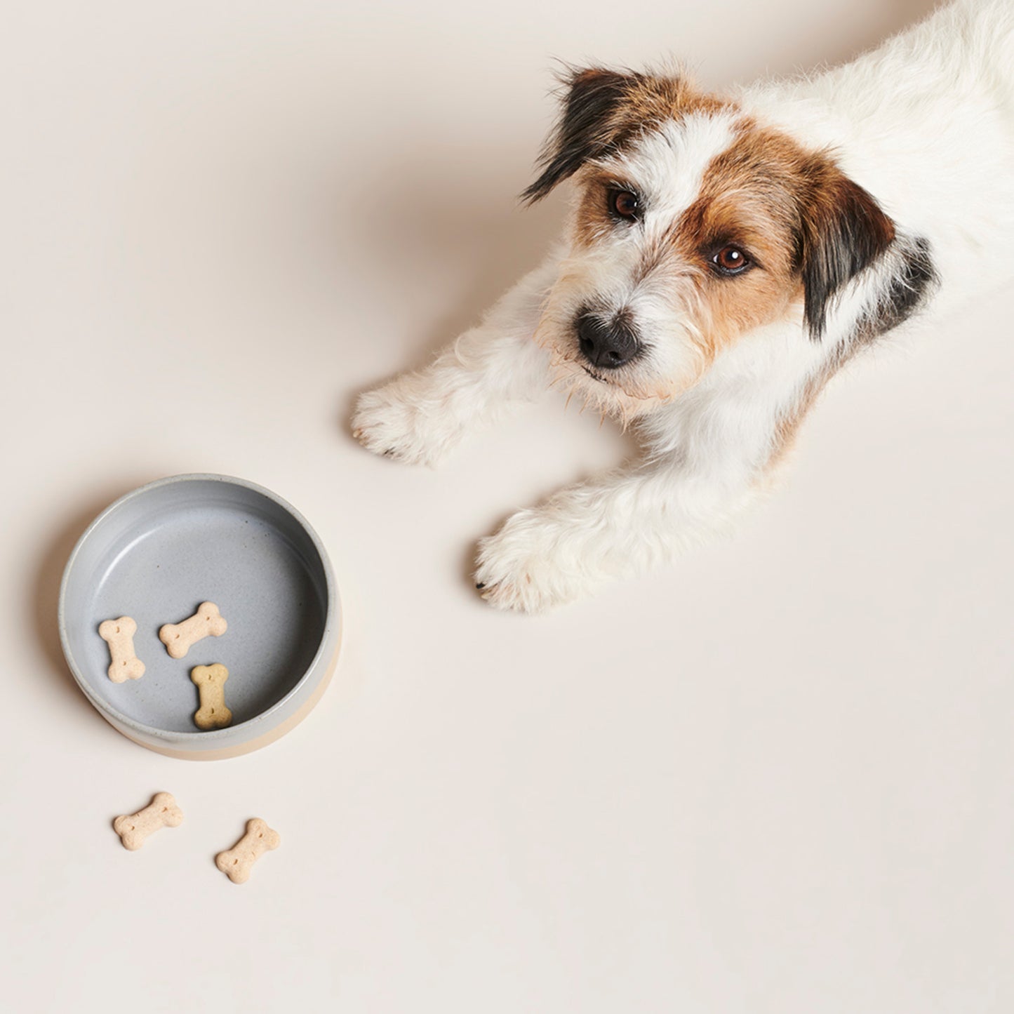Pawness • Bol Ceramic Bo (gri)