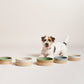 Pawness • Ceramic Food Bowl Bo (white)