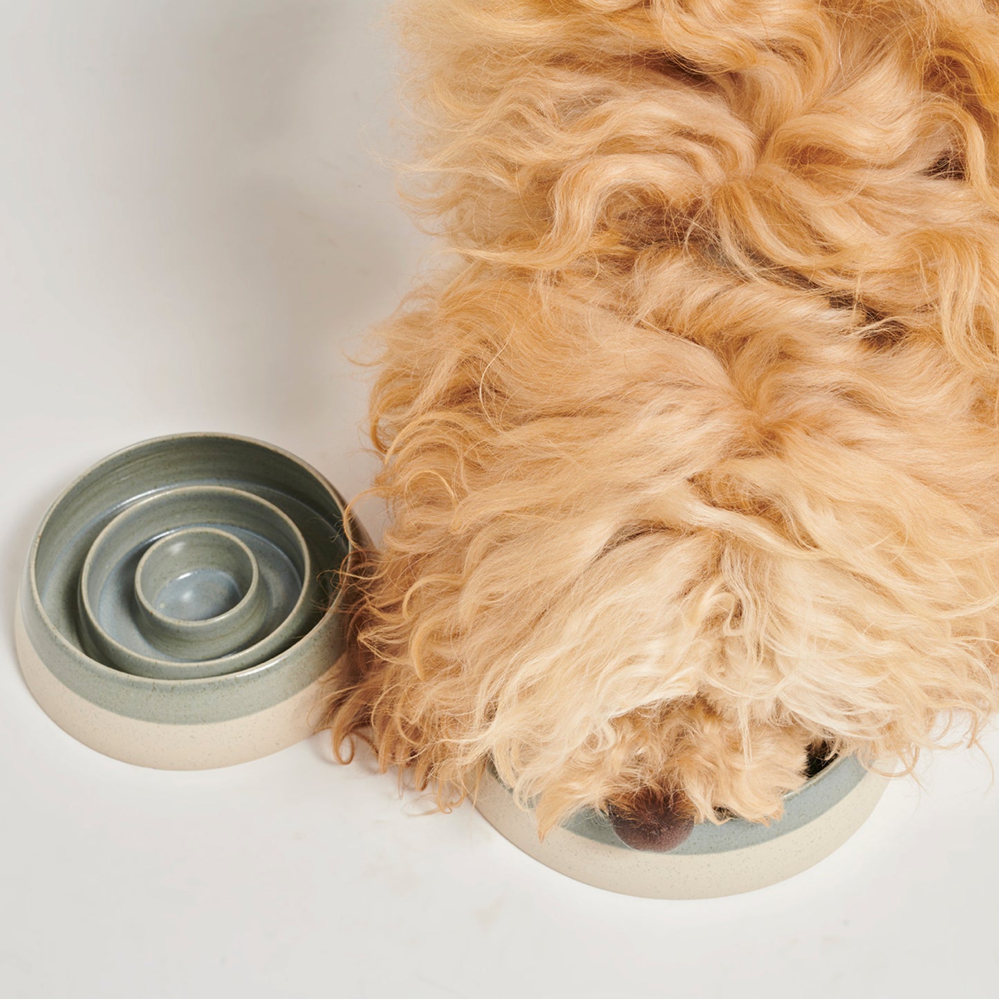 Pawness • Slow Feeder Bo (grey)