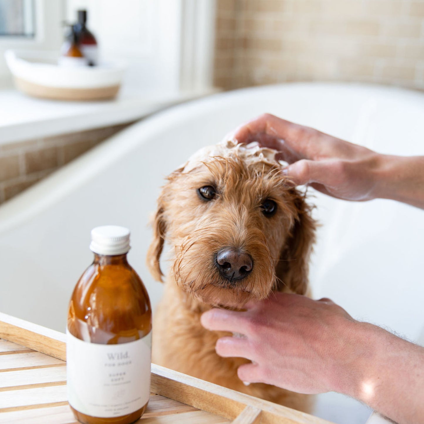 Wild for Dogs • Super Soft-Organic Dog Conditioner 300ml (plastic-free)