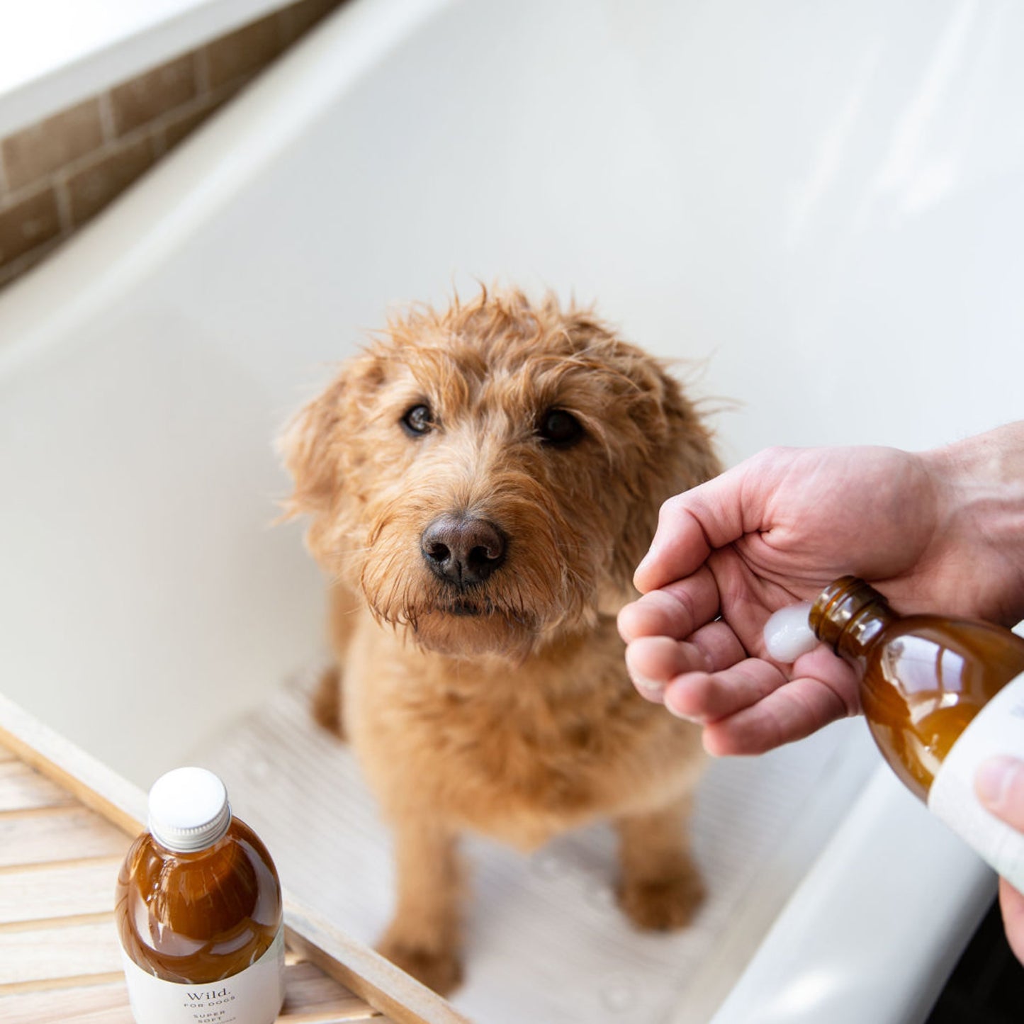 Wild for Dogs • Super Soft-Organic Dog Conditioner 300ml (plastic-free)
