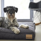 MiaCara • Lino Cushion (graphite)
