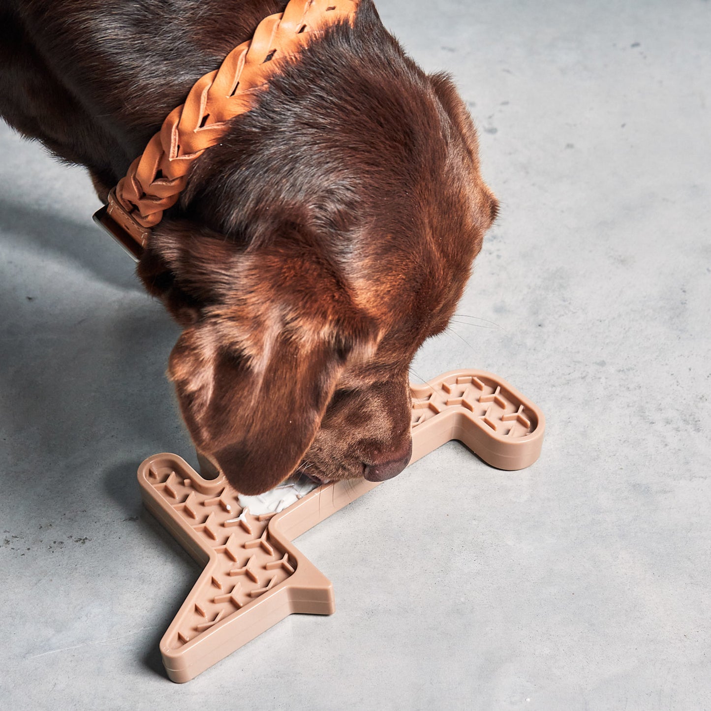 MiaCara • Volpe Activity Toy (nude)