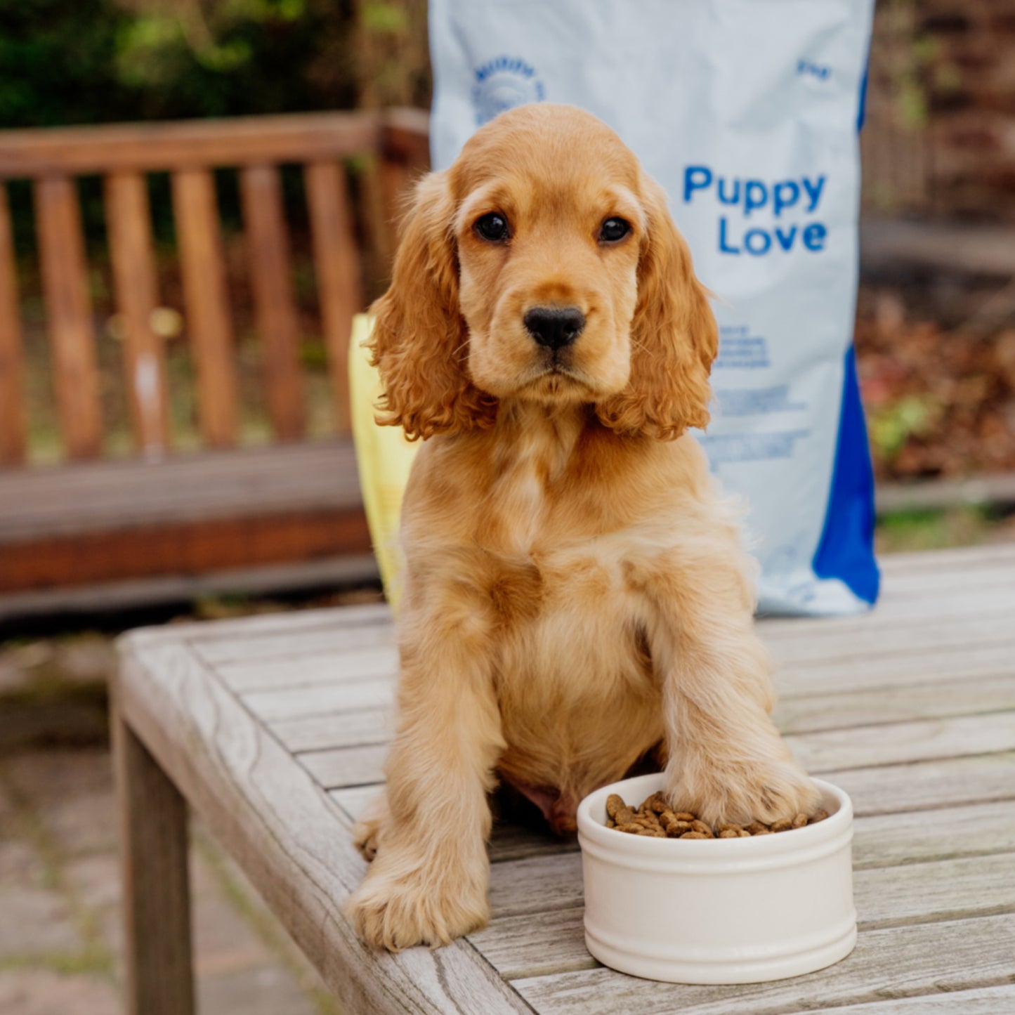 Buddy • Puppy Love 2kg