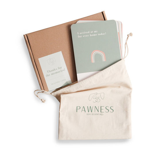 Pawness • Set Carduri Momente Prețioase