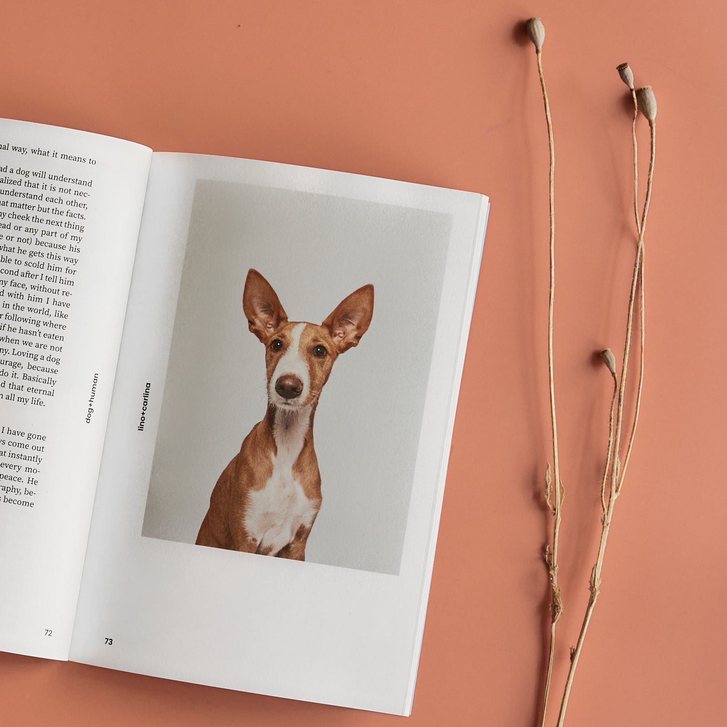 Dog+human • Magazine (issue 2)