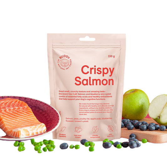 Buddy • Crispy Snack cu Somon crocant și Afine 150g