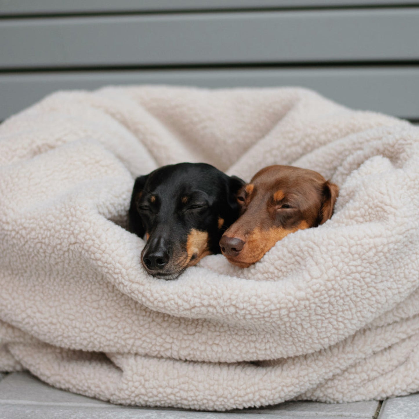 Lieblingspfote • Cuddly Sleeping bag Teddy