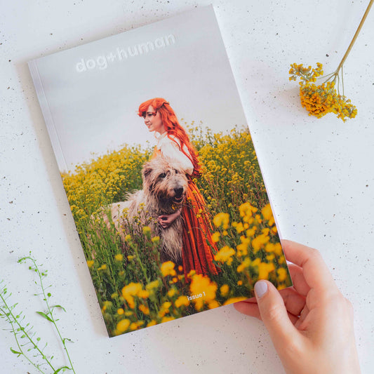 Dog+human • Magazine (issue 1)