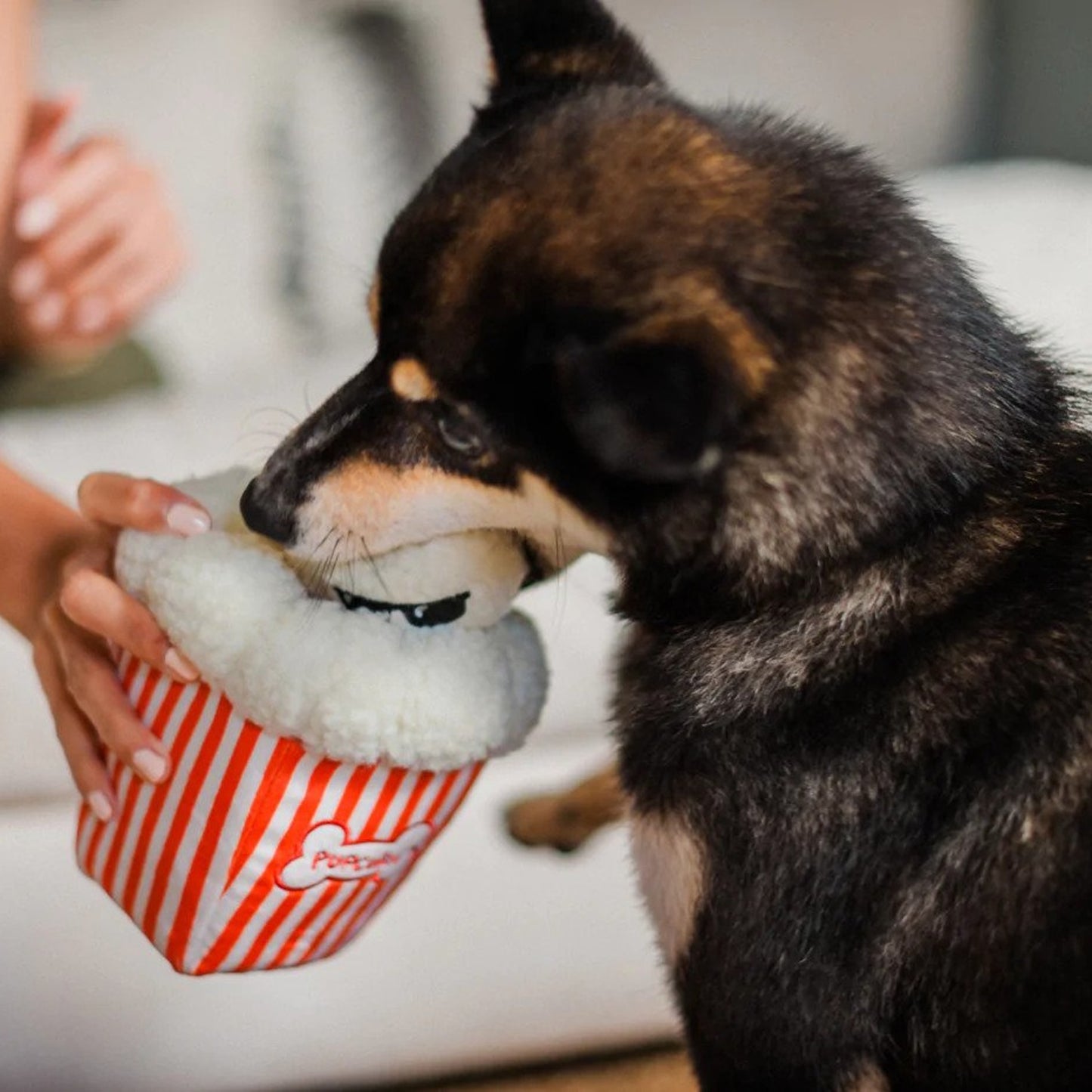 P.L.A.Y • Jucărie Poppin' Pupcorn