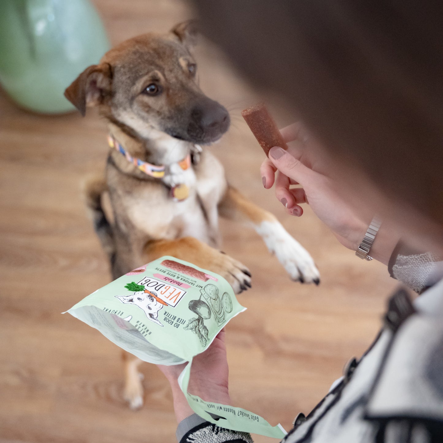 Vegdog • Dentals 120g