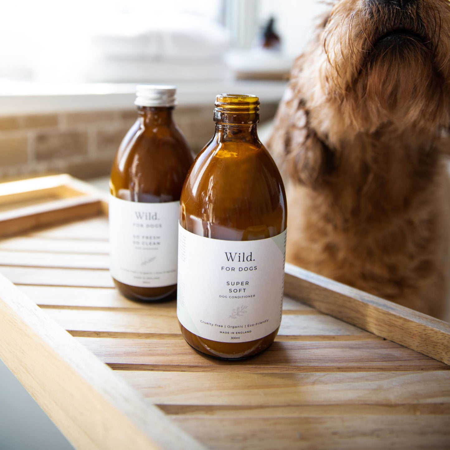 Wild for Dogs • Super Soft-Organic Dog Conditioner 300ml (plastic-free)