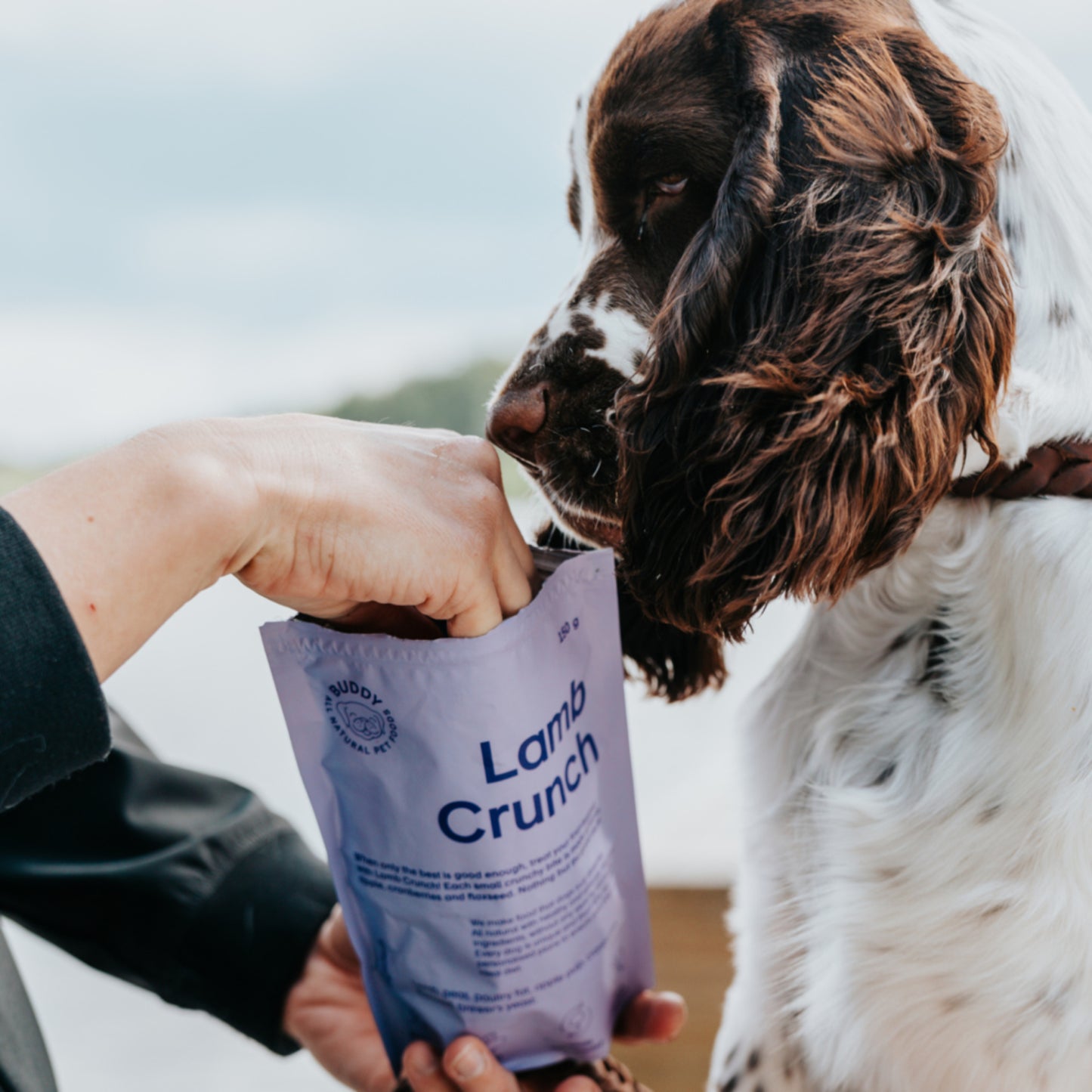 Buddy • Snack Lamb Crunch with Cranberries 150g