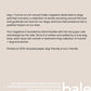 Dog+human • Magazine (issue 2)