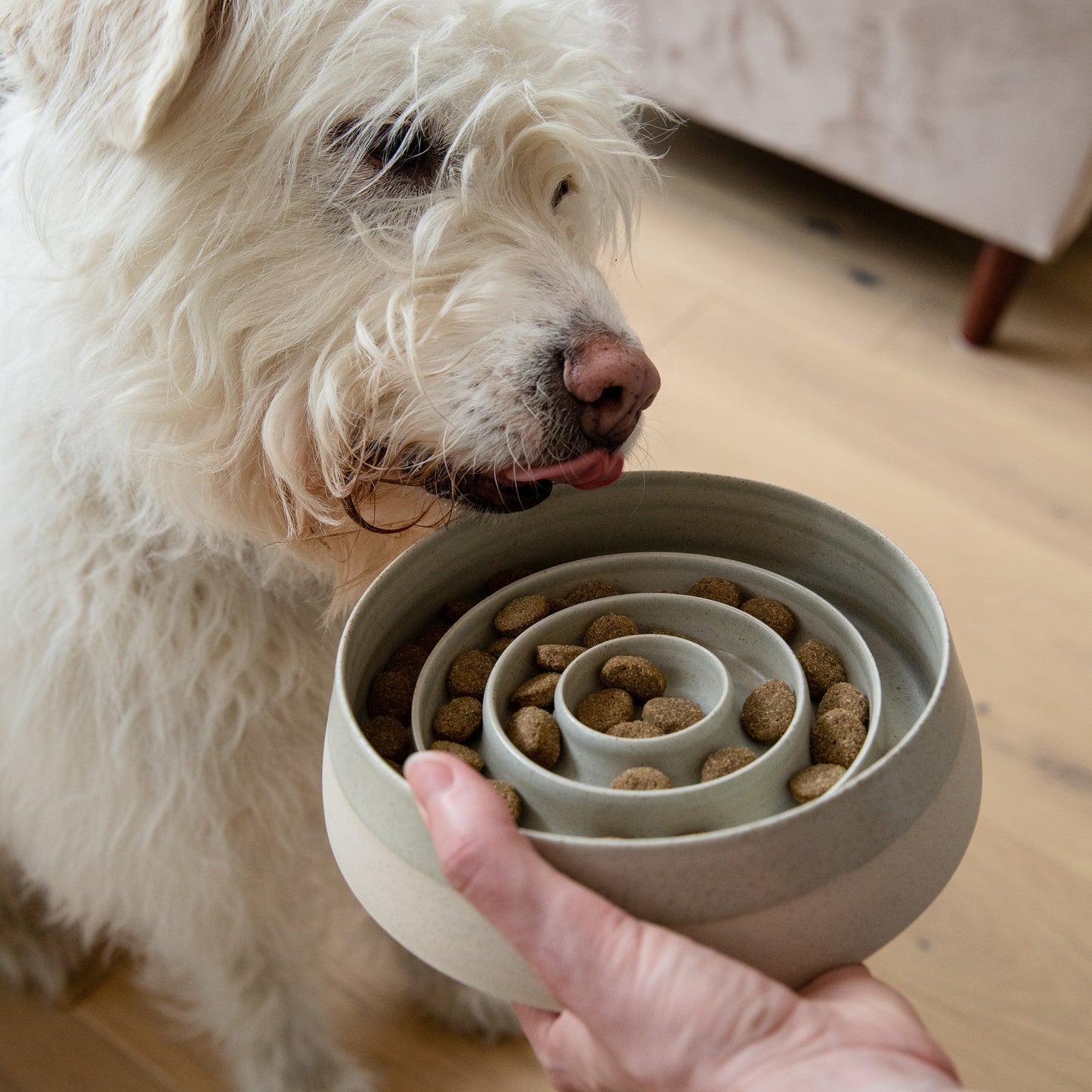 Pawness • Slow Feeder Bo (grey)