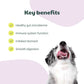 Buddy • Supliment Probiotic Bites 180g