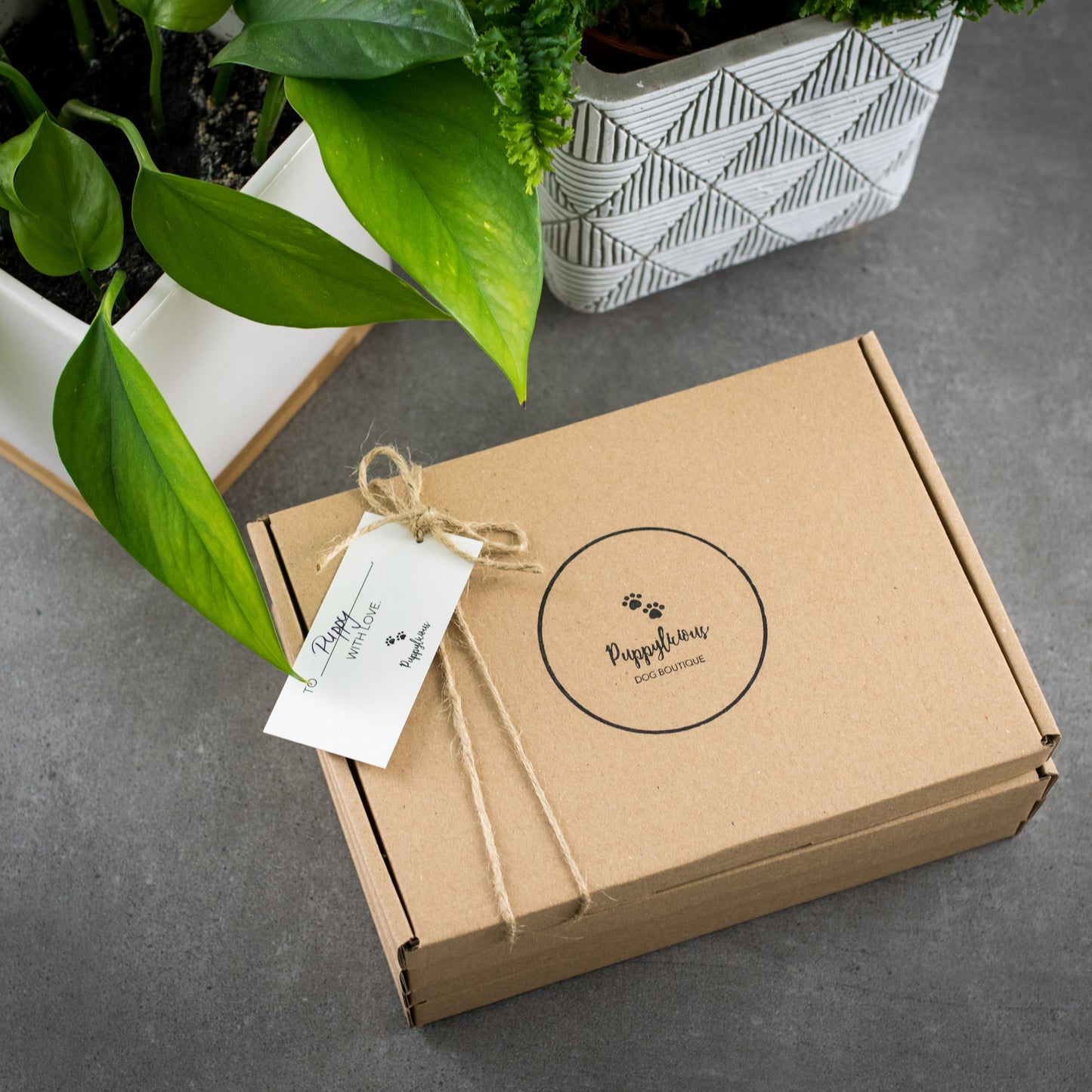 Puppylicious Boutique • Bandană Cornwall