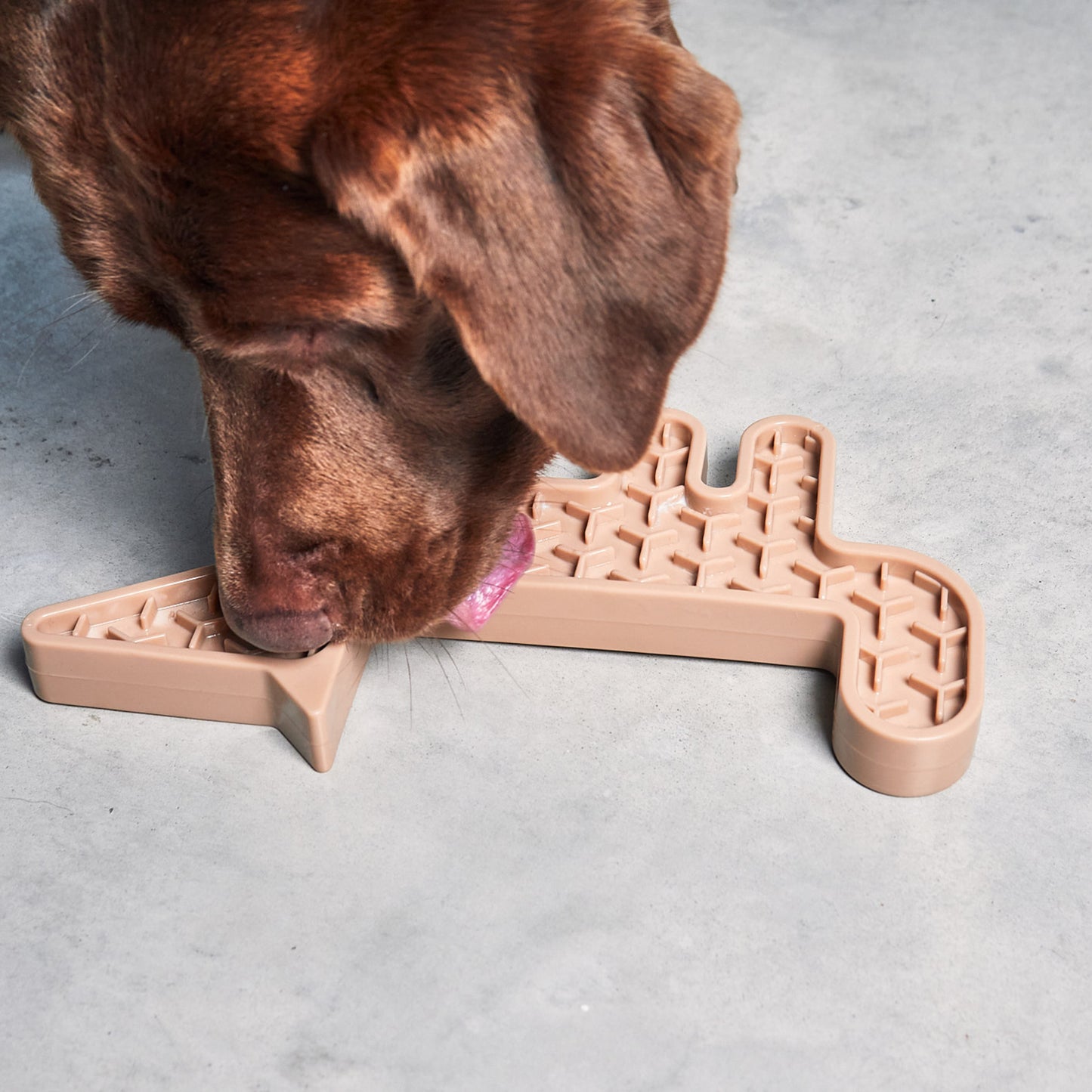 MiaCara • Volpe Activity Toy (nude)