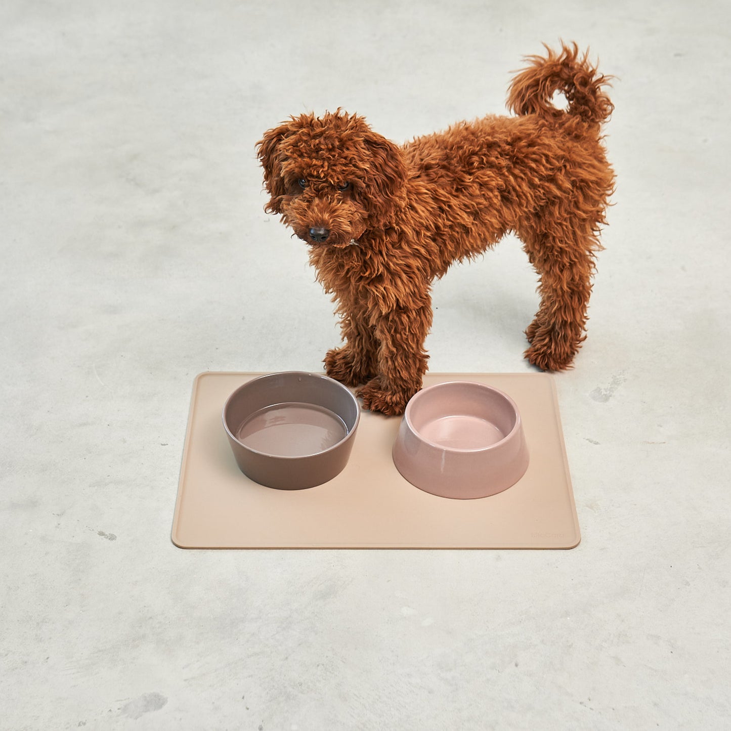 MiaCara • Tova Dog Placemat (greige)