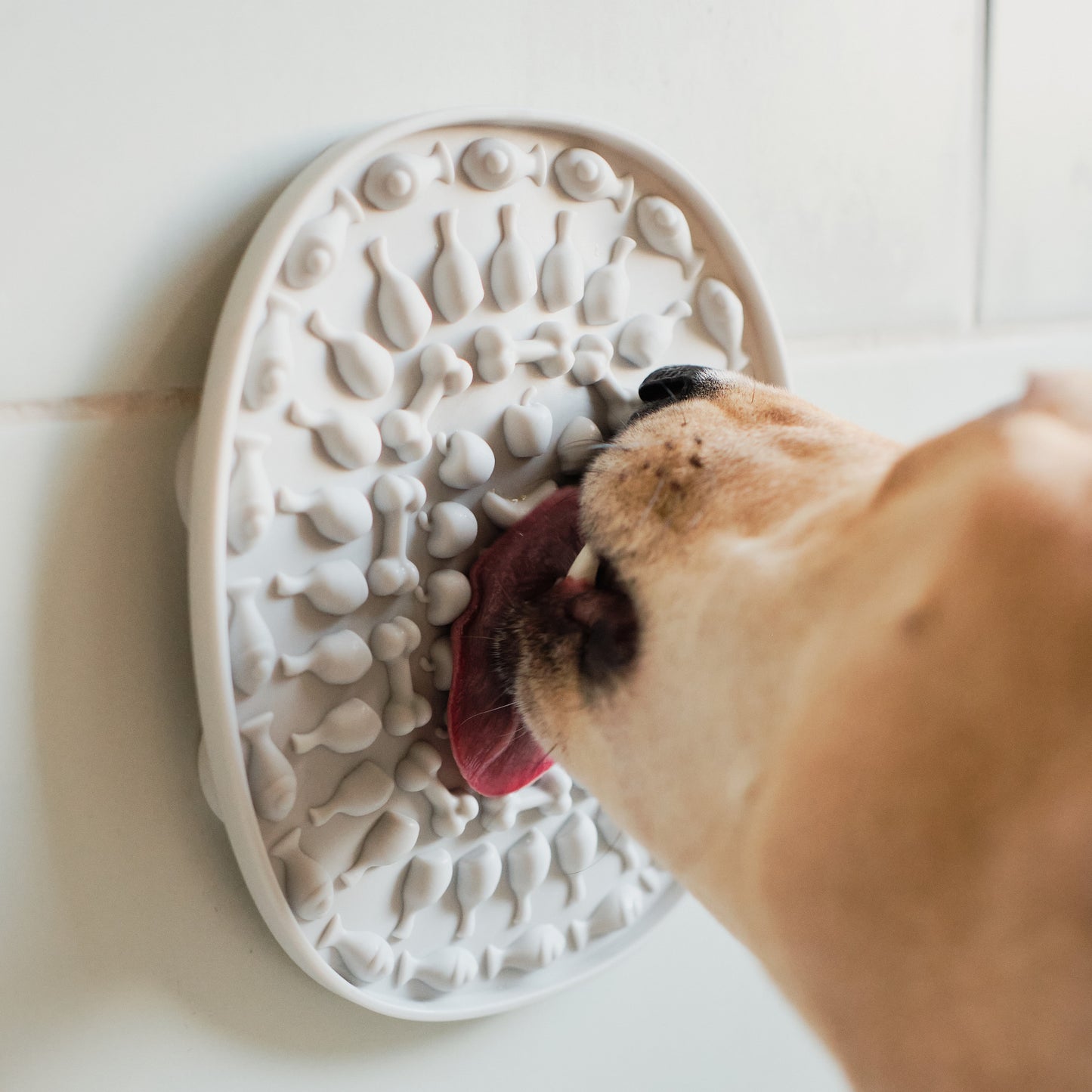 Wild for Dogs • Bath Time Buddy Lickmat