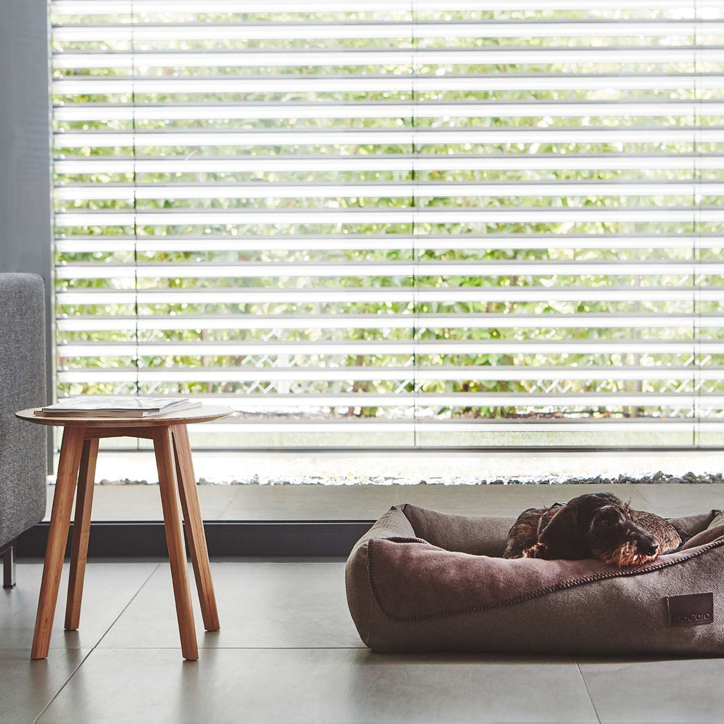 MiaCara • Unica Dog Blanket