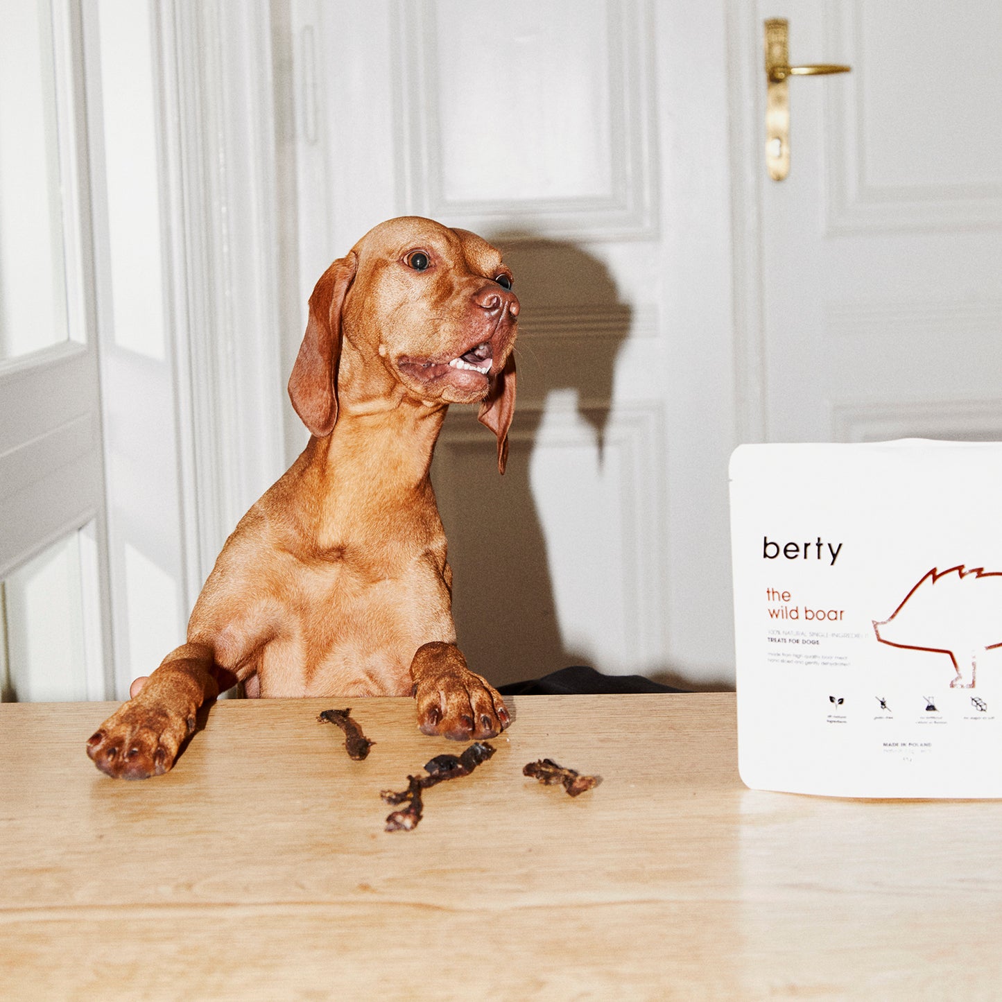 Berty • Treats Wild Boar 80g