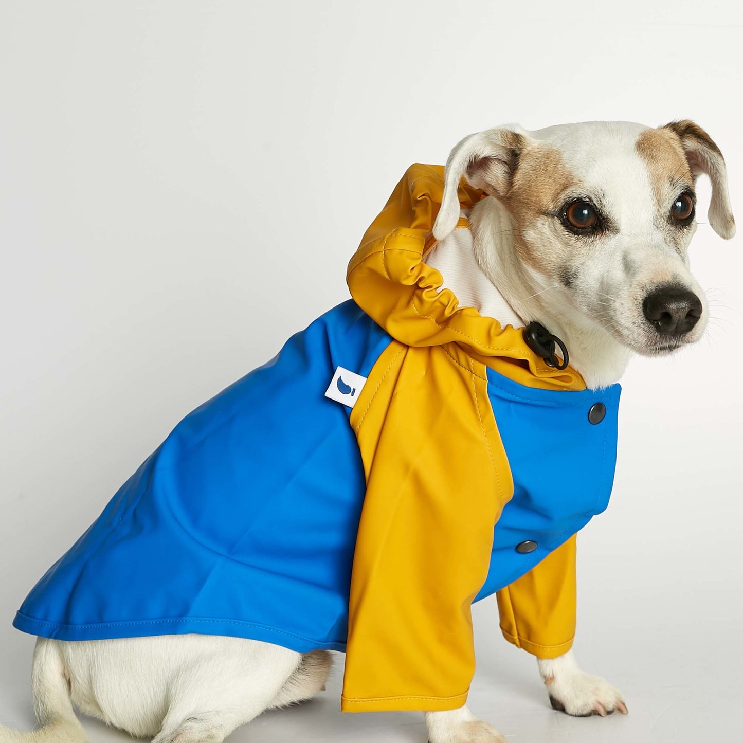 The Painter's Wife • Sarah raincoat (blue & yellow)