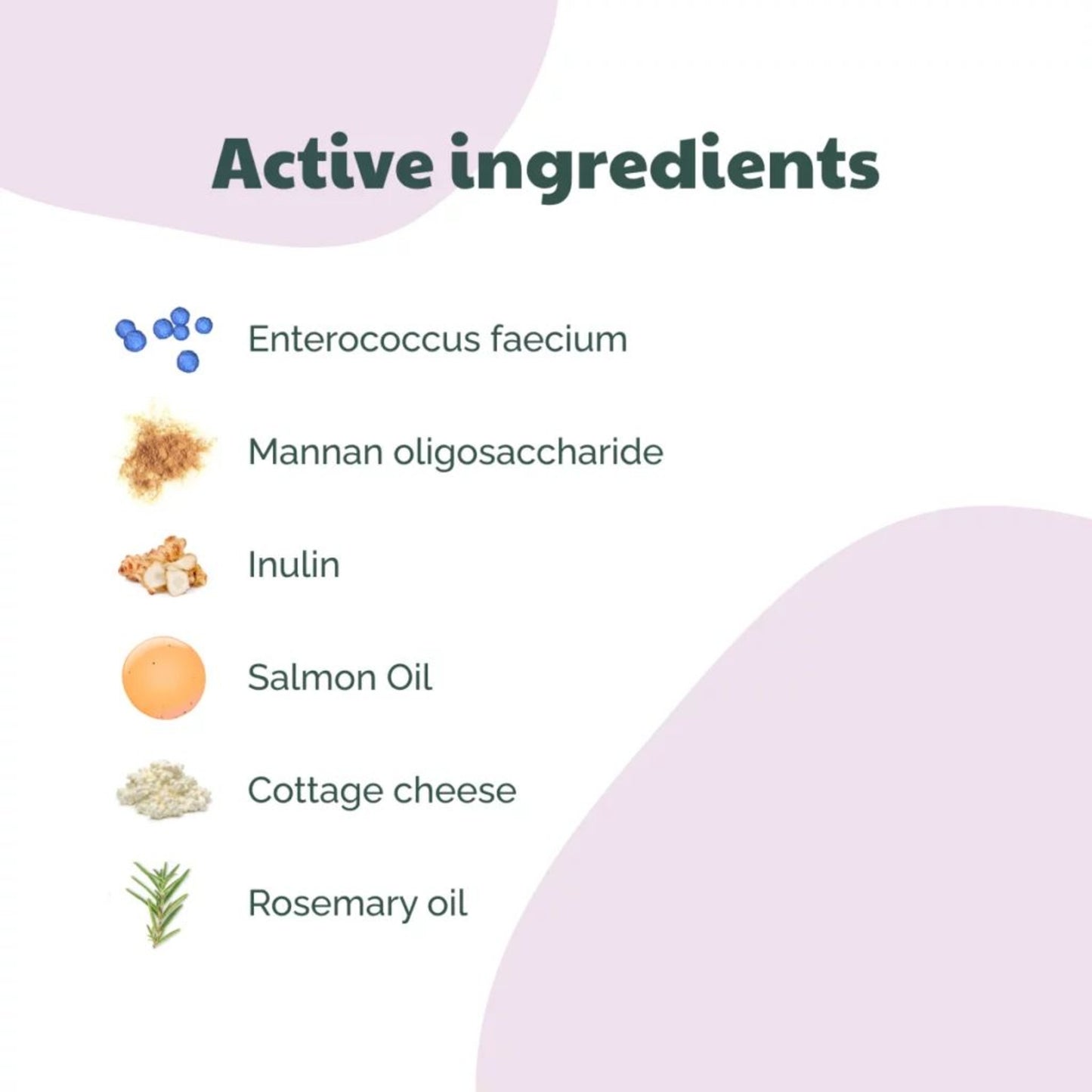 Buddy • Supliment Probiotic Bites 180g
