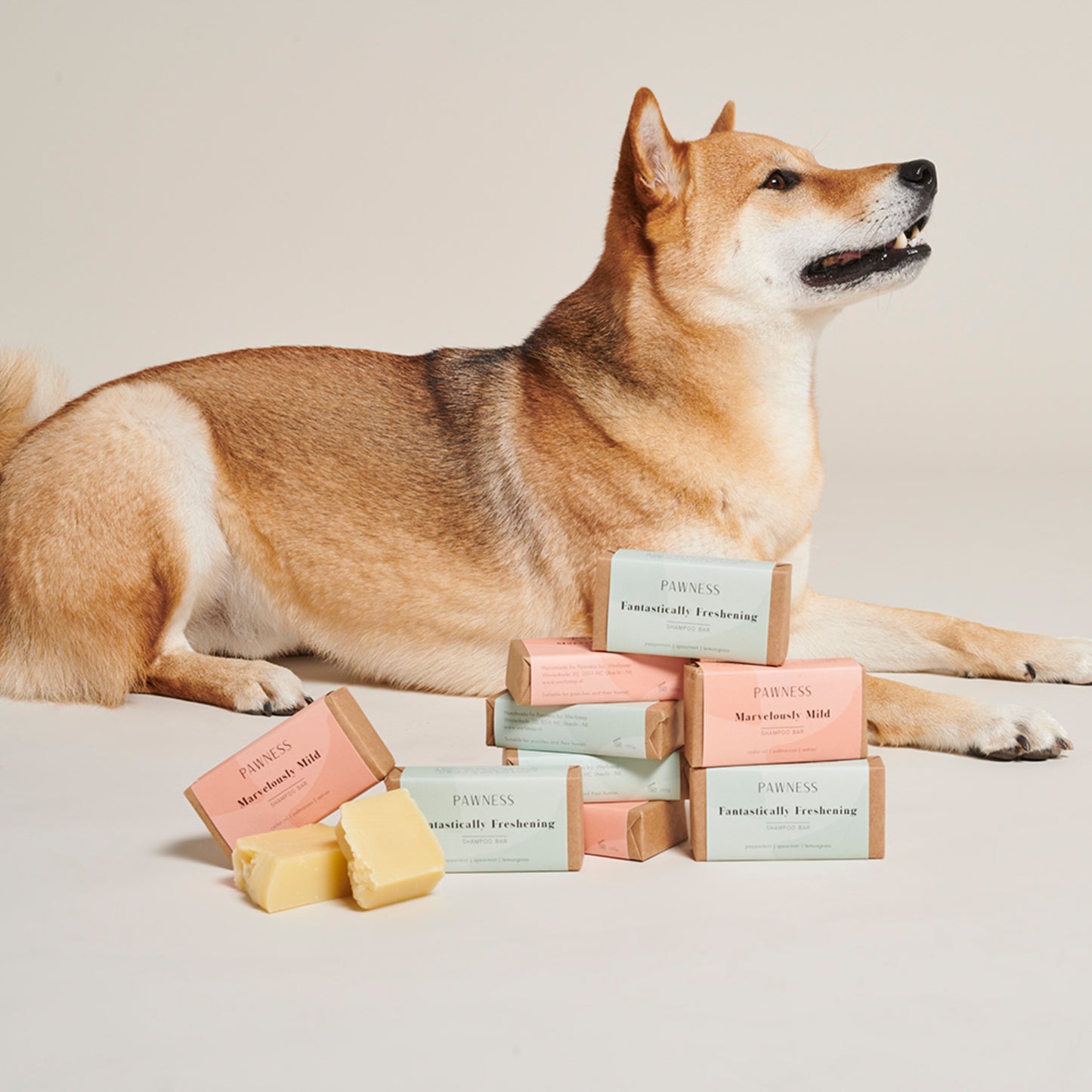 Pawness • Șampon Solid Fantastically Refreshing 100g