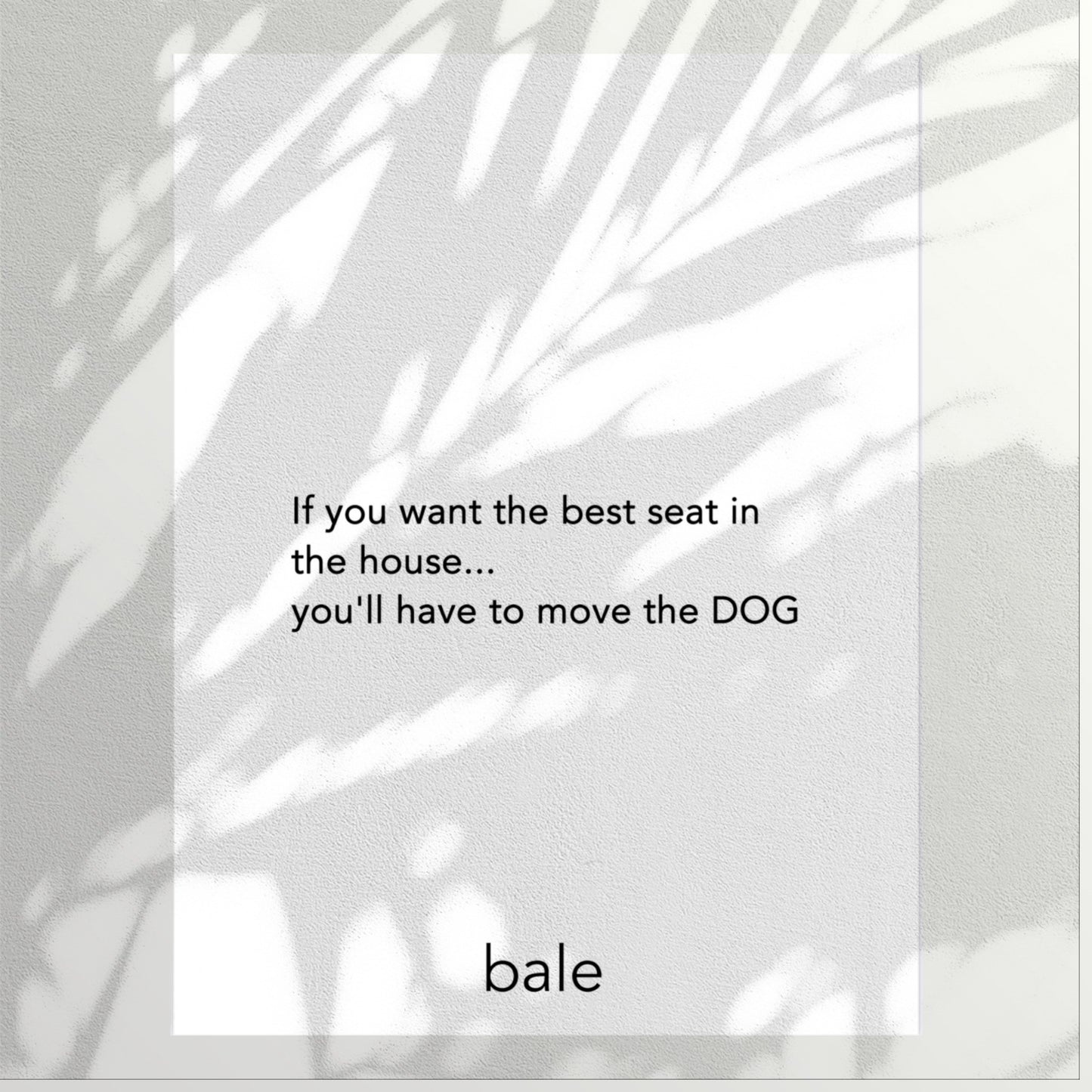 Bale • Print Înrămat ''Best Seat''
