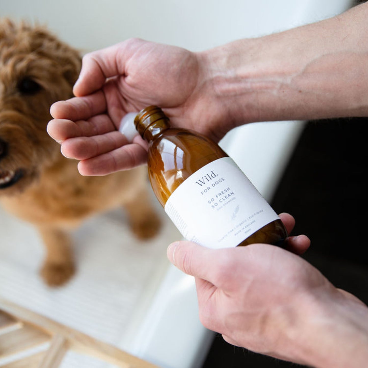 Wild for Dogs • Șampon Organic So Fresh So Clean 300ml