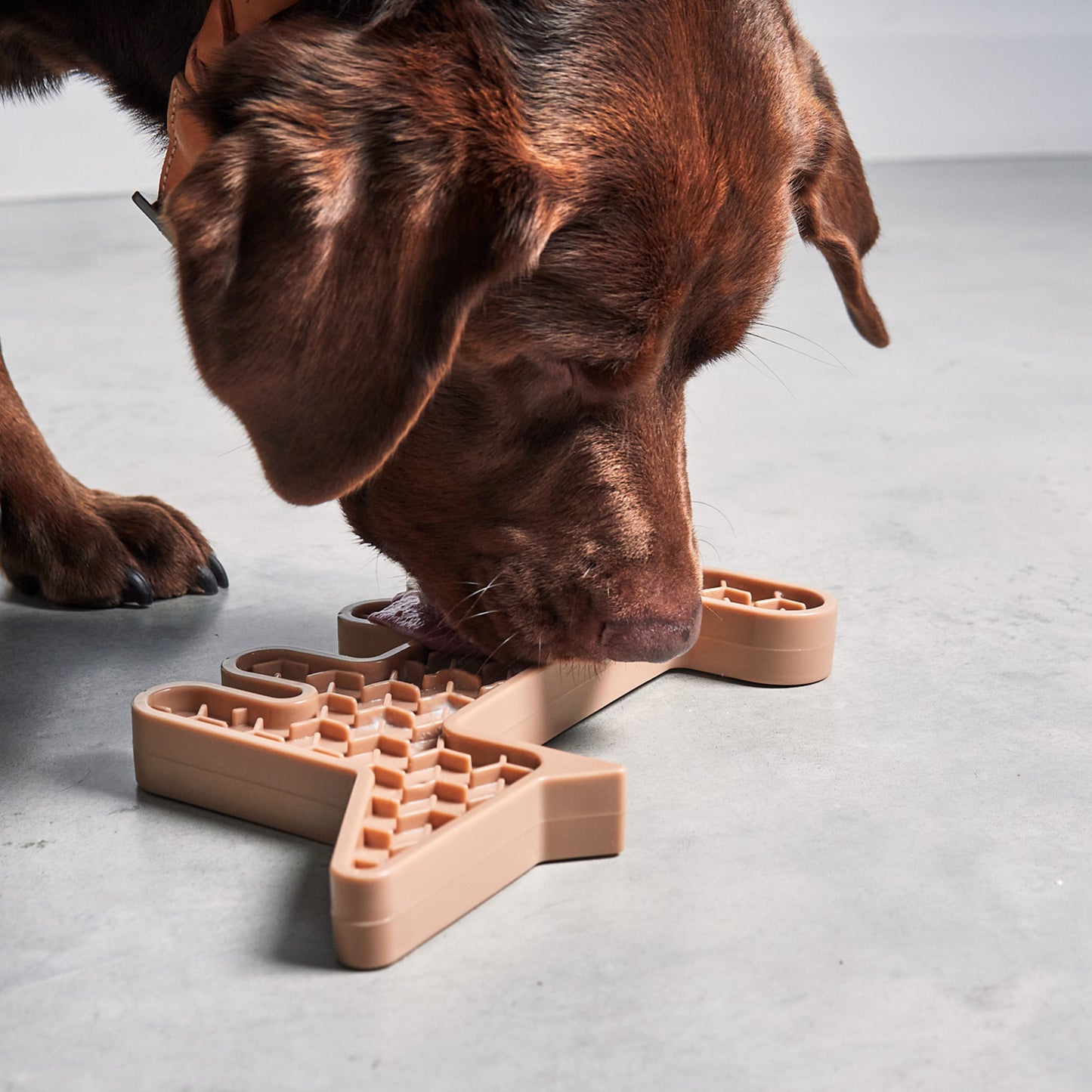 MiaCara • Volpe Activity Toy (nude)