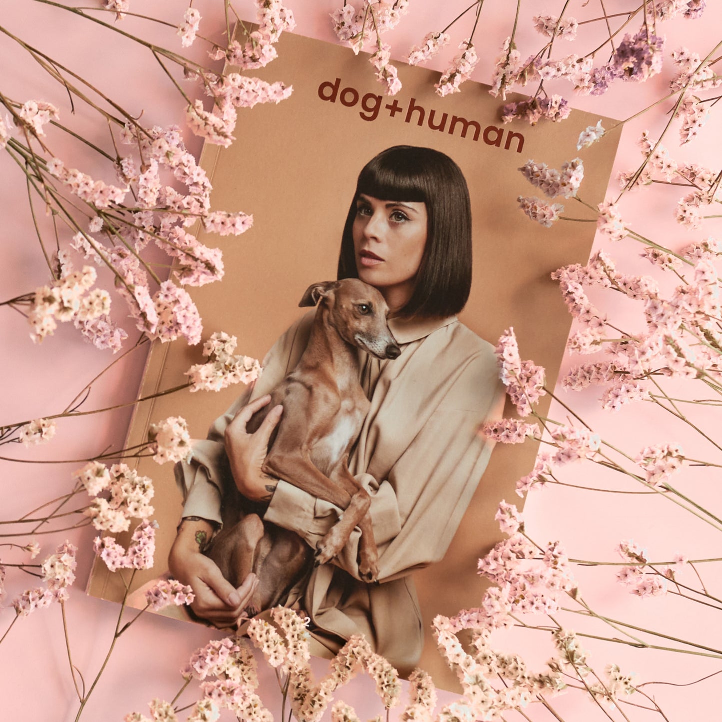 Dog+human • Magazine (issue 2)