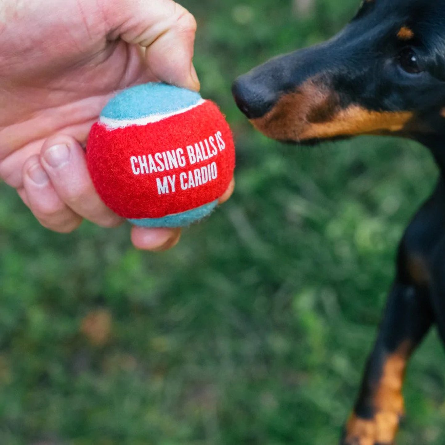 P.L.A.Y • Dog Tennis Balls