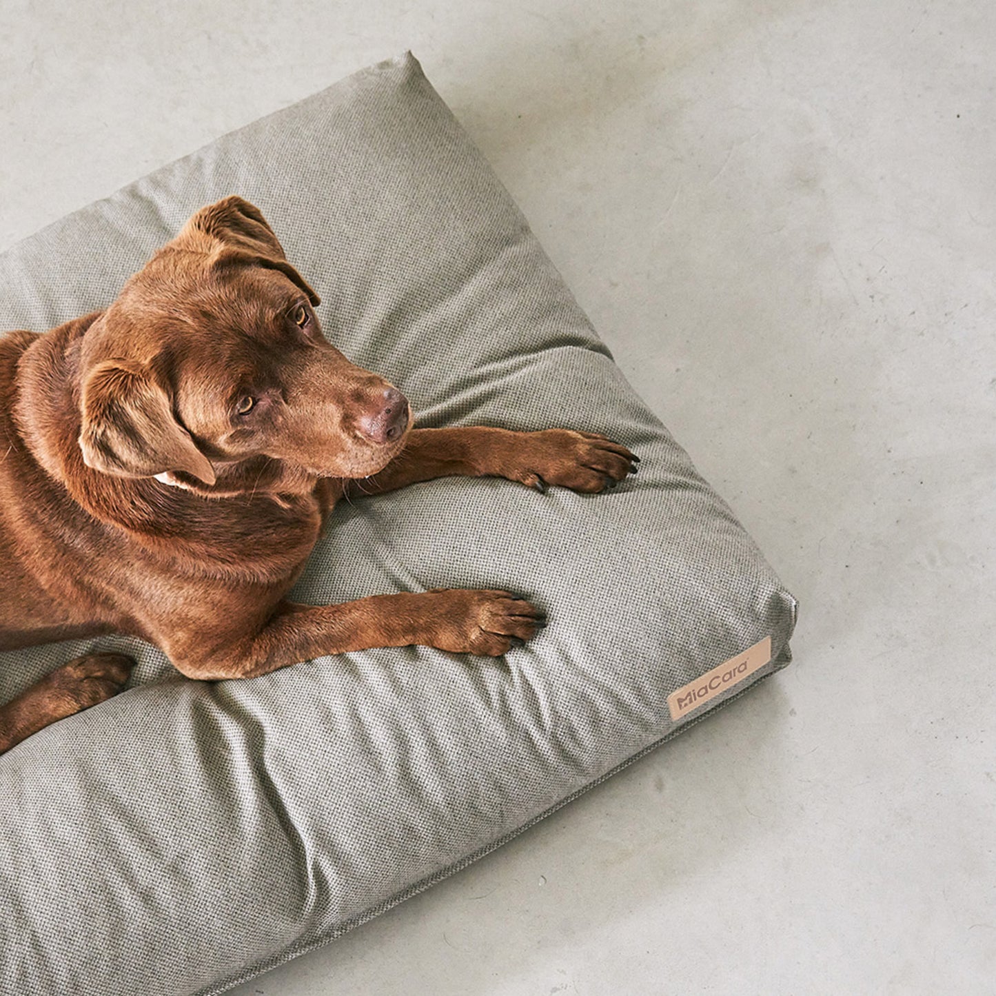 MiaCara • Mare Cushion (sand)