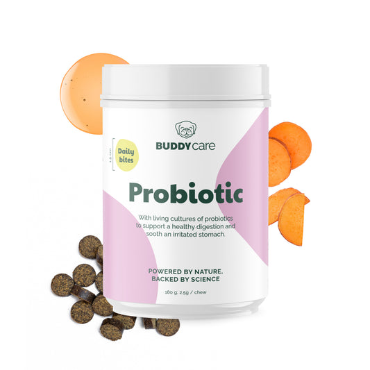 Buddy • Supliment Probiotic Bites 180g