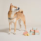 Pawness • Șampon Solid Fantastically Refreshing 100g