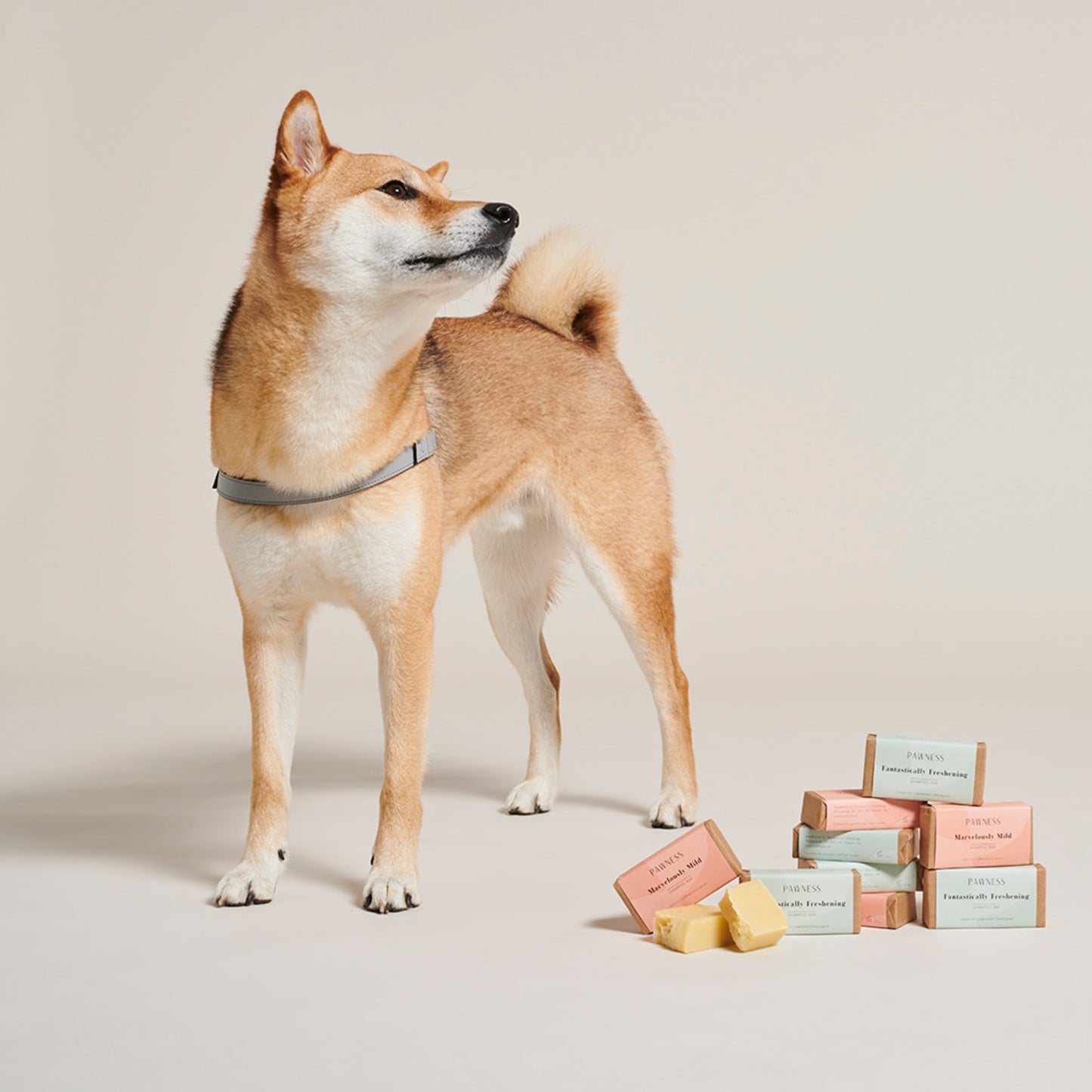 Pawness • Șampon Solid Fantastically Refreshing 100g