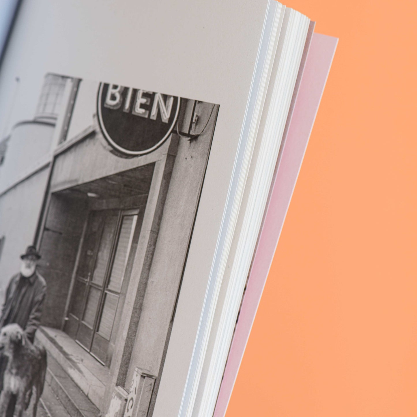 Dog+human • Revistă (numărul 1)