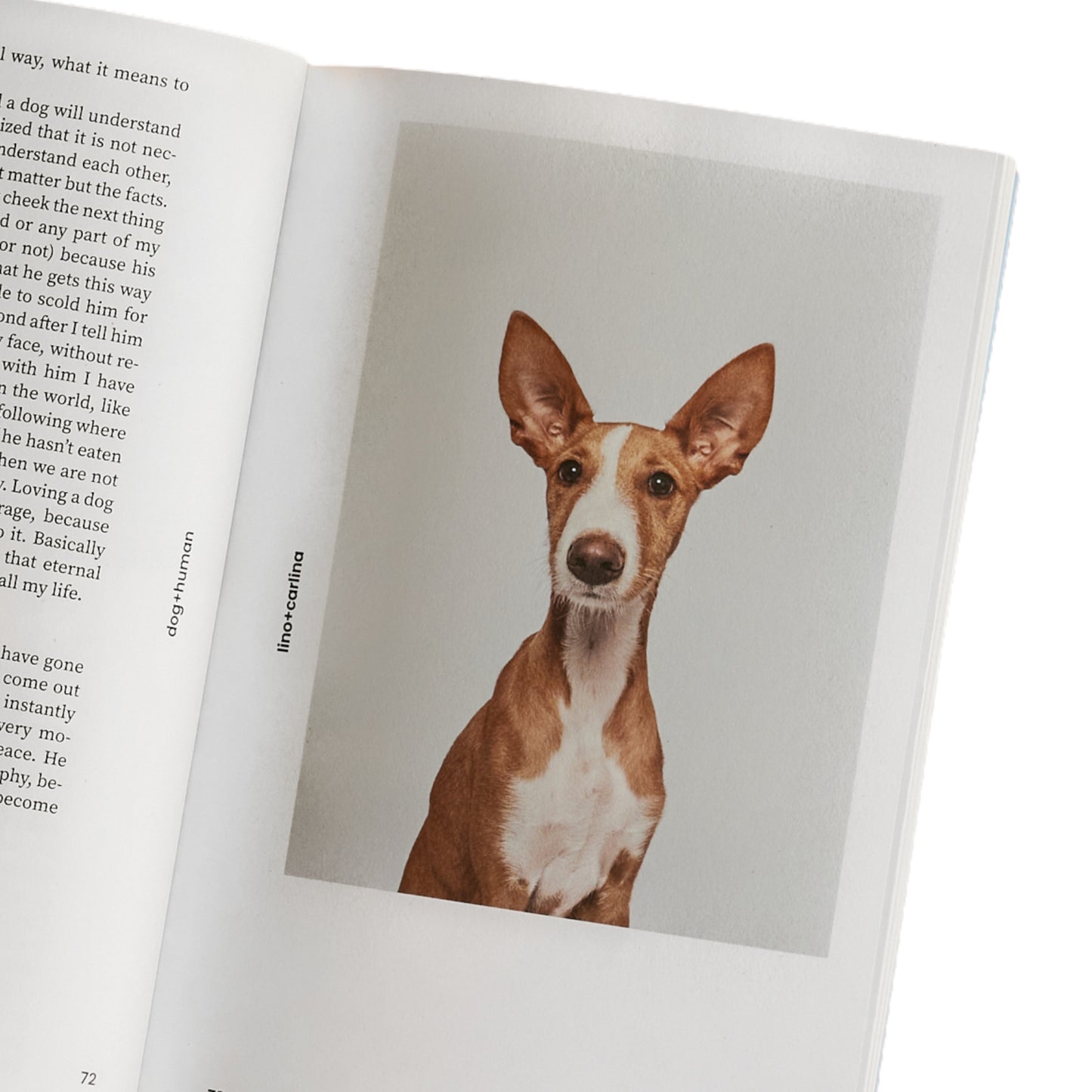 Dog+human • Magazine (issue 2)