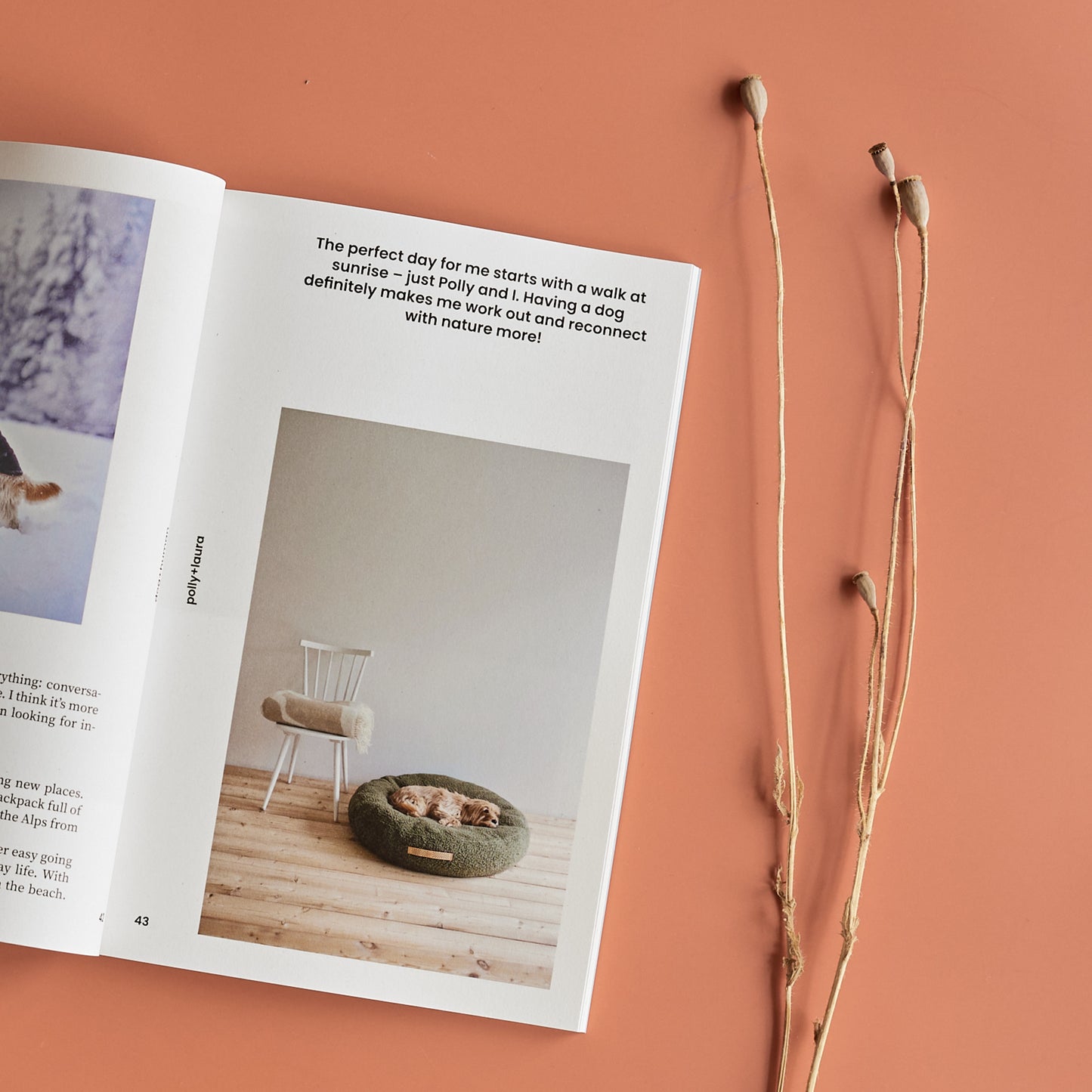 Dog+human • Magazine (issue 2)