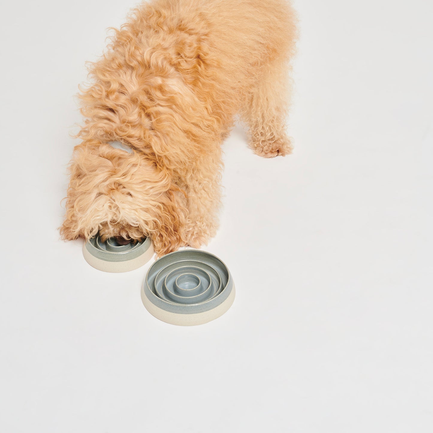Pawness • Slow Feeder Bo (grey)