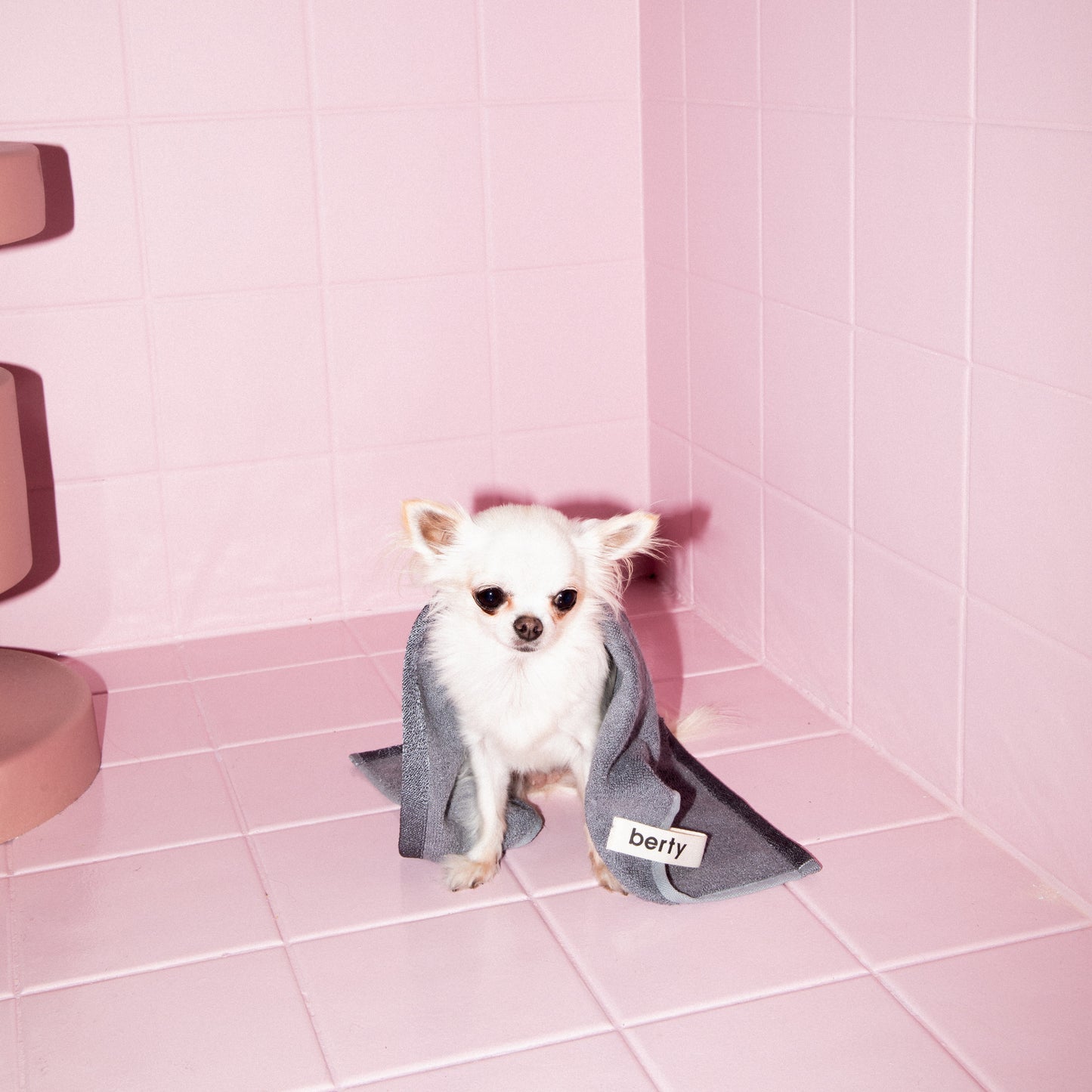 Berty • Antibacterial Paw & Face Towel