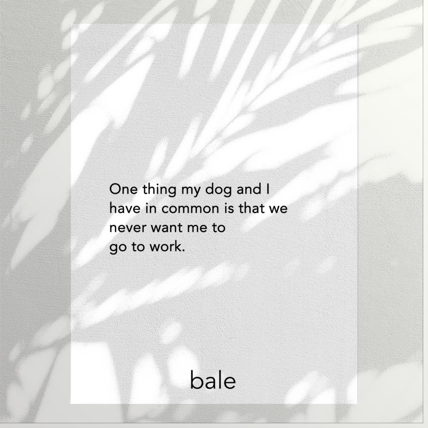 Bale • Print Înrămat ''One Thing''