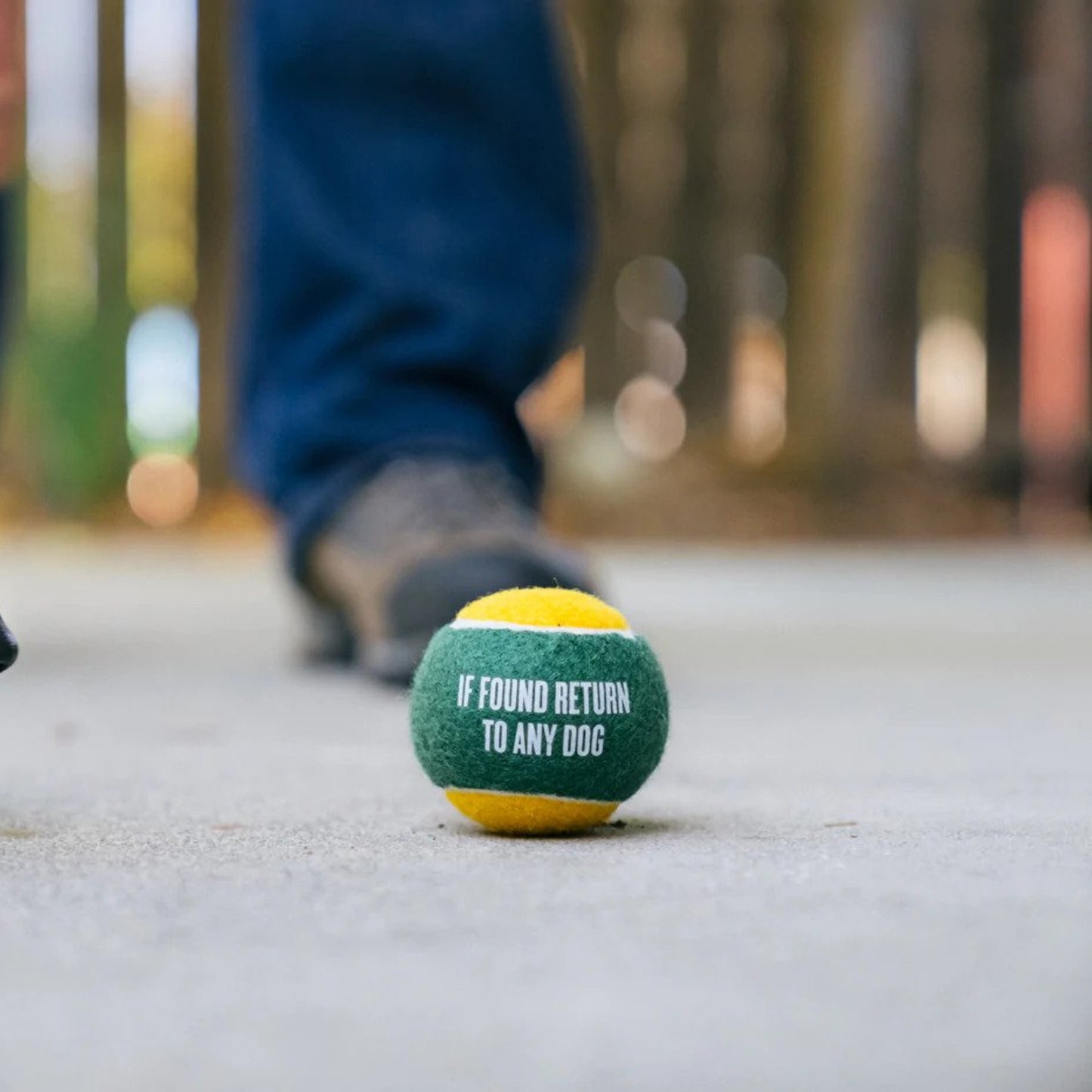 P.L.A.Y • Dog Tennis Balls