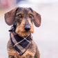 Puppylicious Boutique • Sherlock Bandana