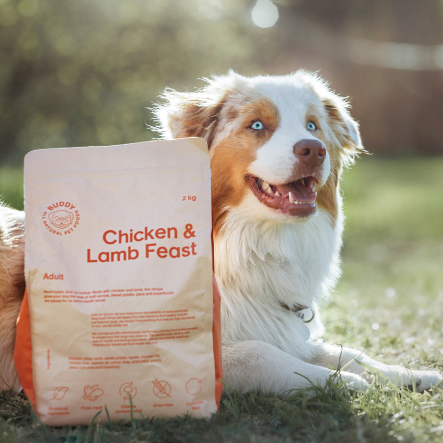 Buddy • Hrană uscată Chicken & Lamb Feast (pui și miel) 2kg