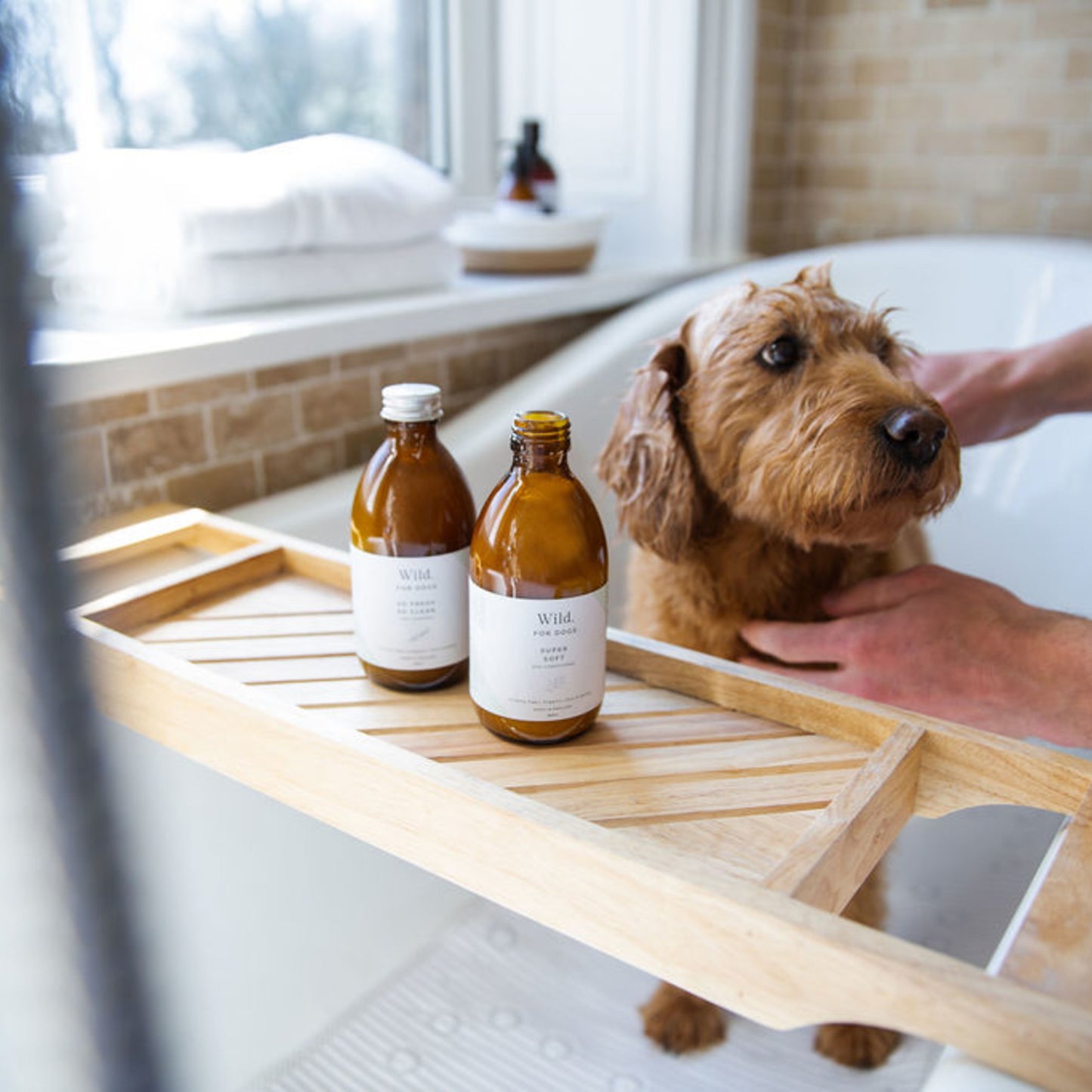 Wild for Dogs • Super Soft-Organic Dog Conditioner 300ml (plastic-free)