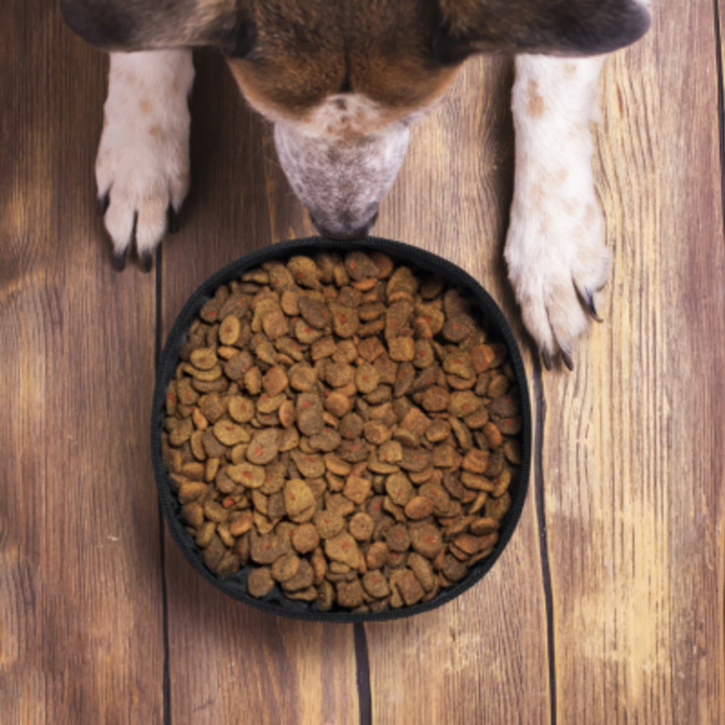 Bale • Packable Food Bowl